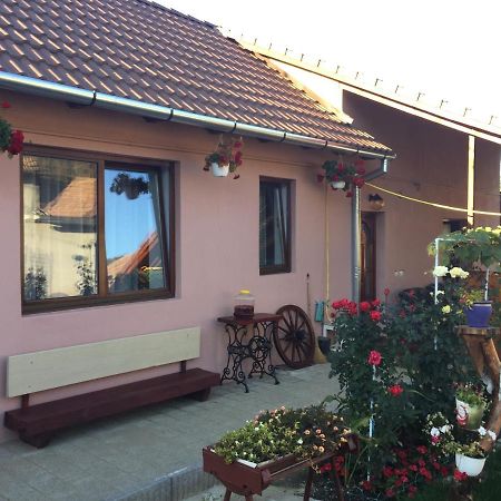 Villa Casa rustica cu terasa Mediaş Exterior foto