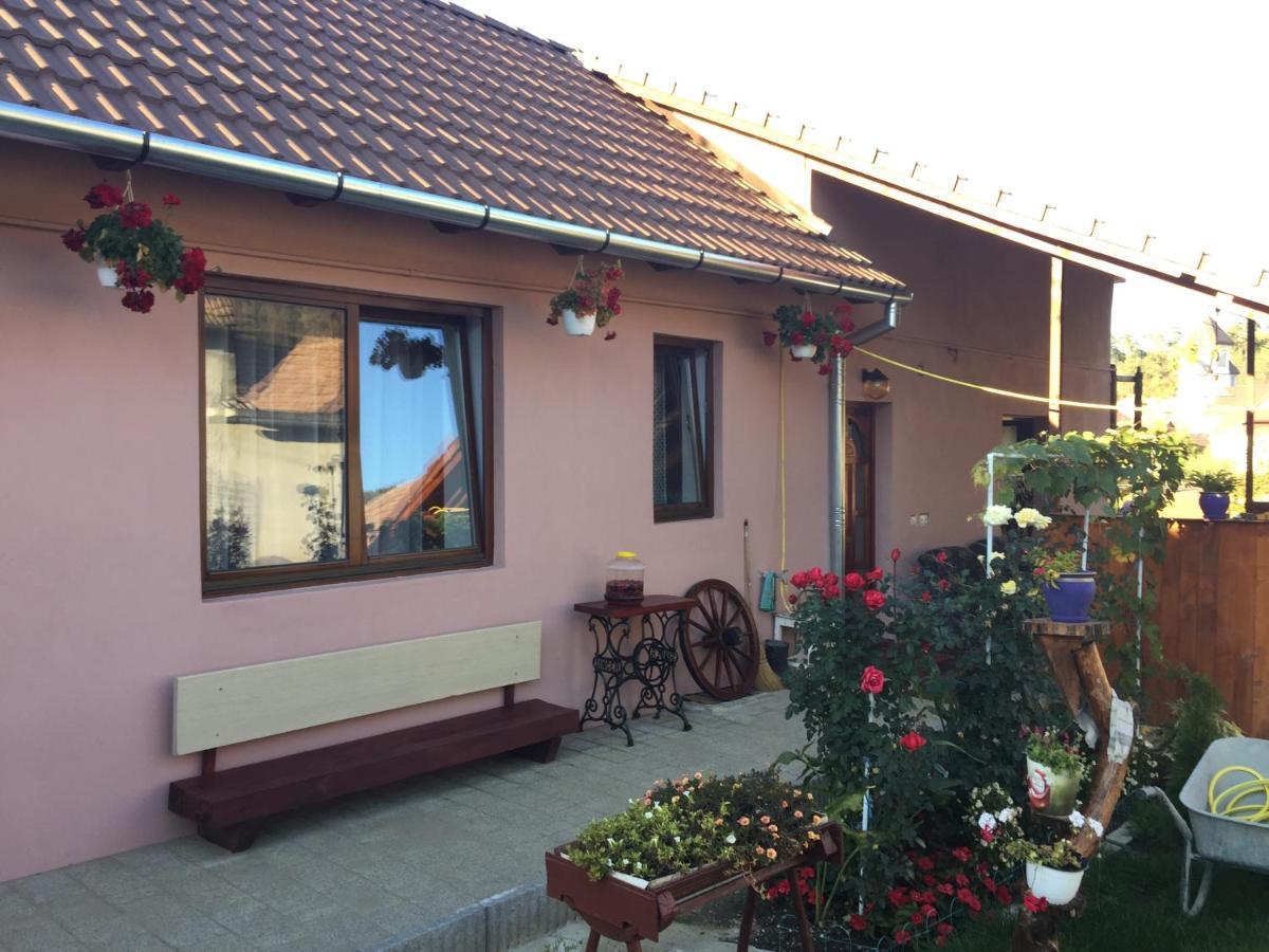 Villa Casa rustica cu terasa Mediaş Exterior foto