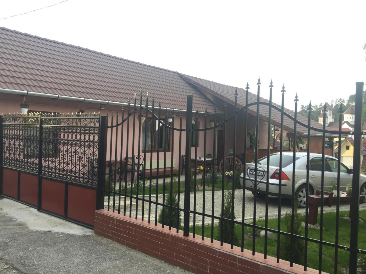 Villa Casa rustica cu terasa Mediaş Exterior foto