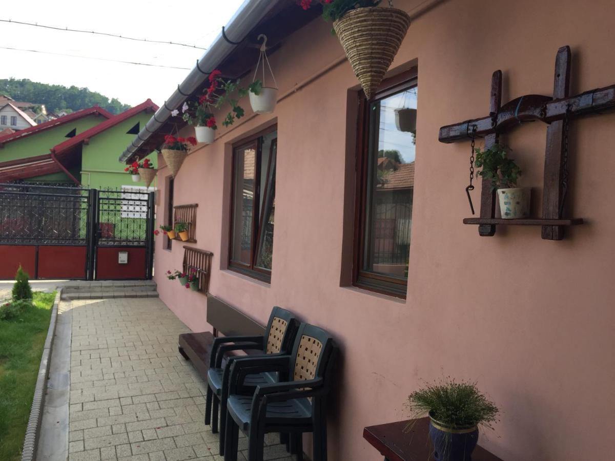 Villa Casa rustica cu terasa Mediaş Exterior foto