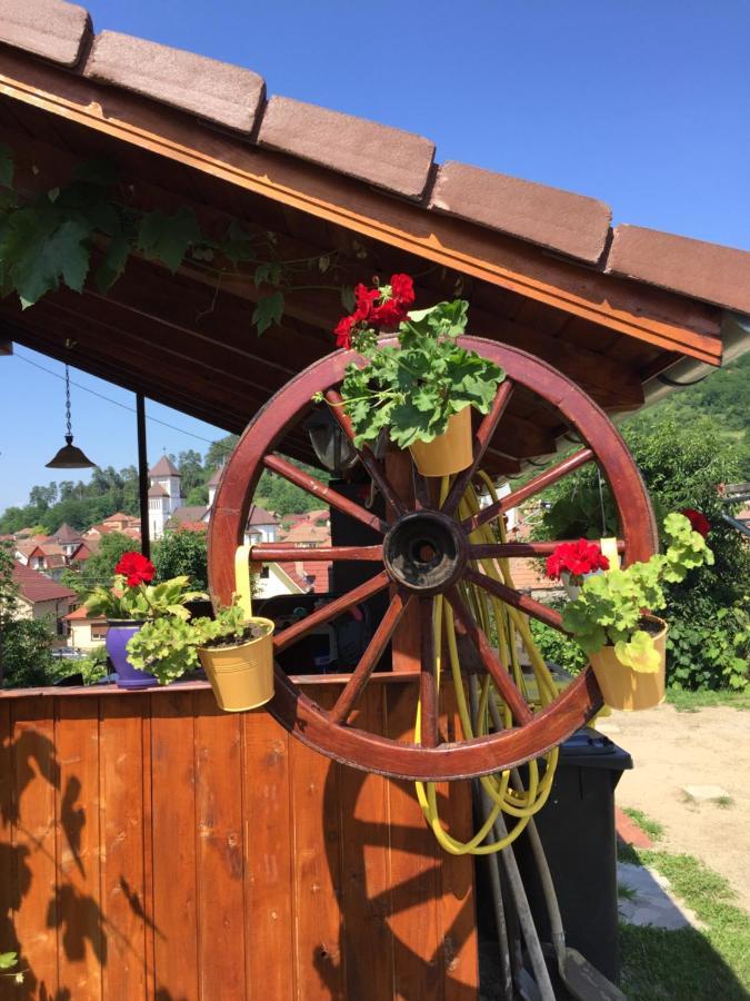 Villa Casa rustica cu terasa Mediaş Exterior foto