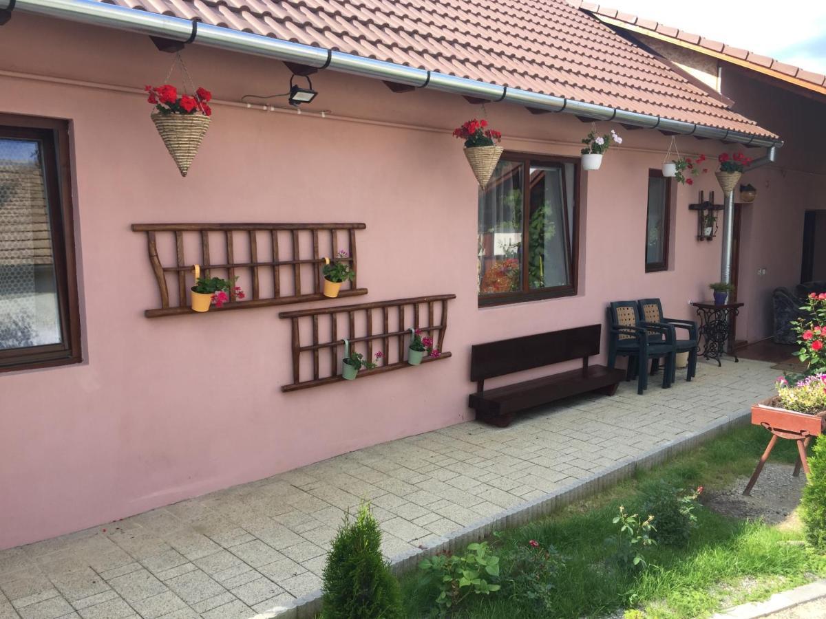 Villa Casa rustica cu terasa Mediaş Exterior foto