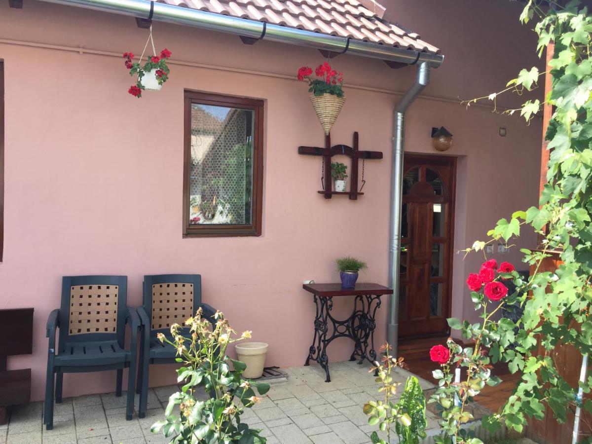 Villa Casa rustica cu terasa Mediaş Exterior foto