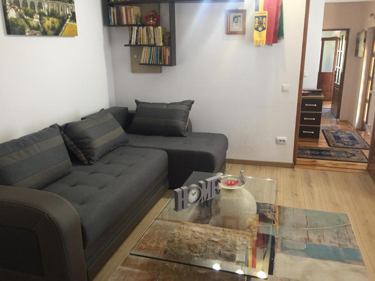 Villa Casa rustica cu terasa Mediaş Exterior foto