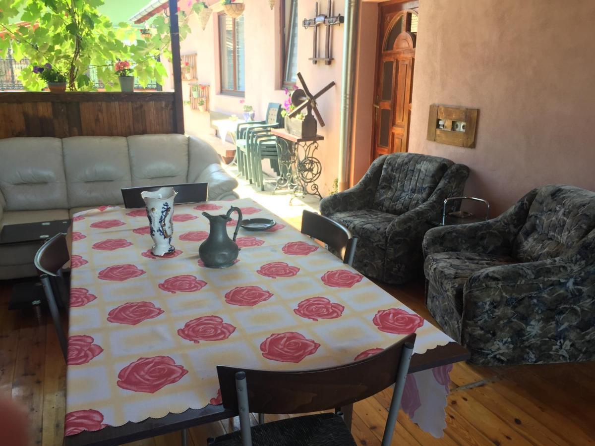 Villa Casa rustica cu terasa Mediaş Exterior foto