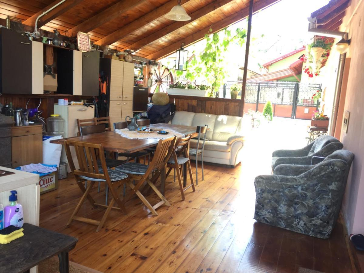 Villa Casa rustica cu terasa Mediaş Exterior foto